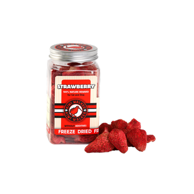 KIWI WALKER 100% TRUSKAWSKA LIOFILIZOWANE SMACZKI 25G