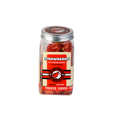 KIWI WALKER 100% TRUSKAWSKA LIOFILIZOWANE SMACZKI 25G